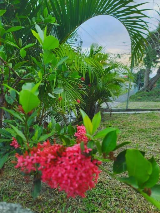 Juju'S Cottage With Magnificent Views Laborie Exterior foto